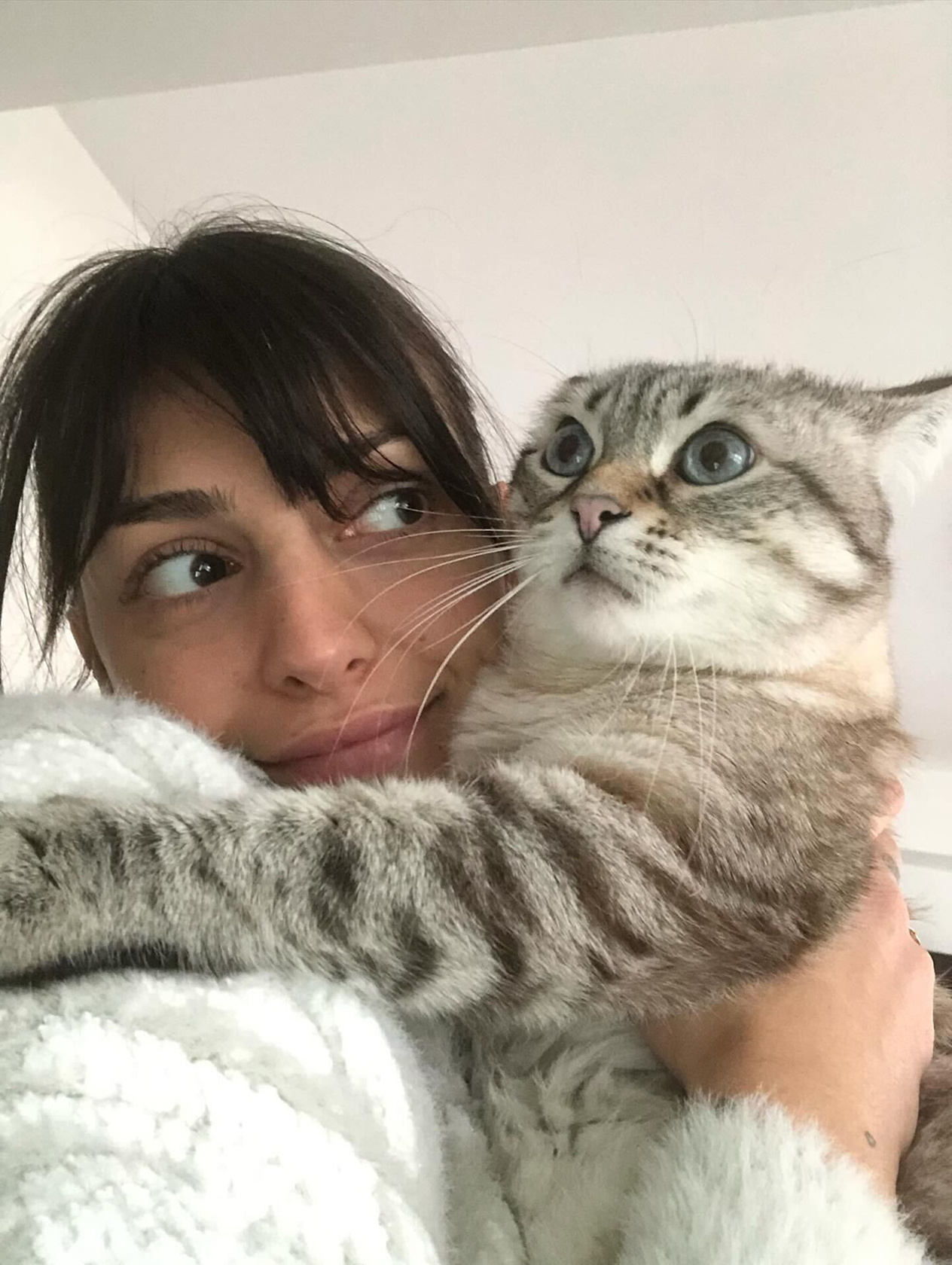 Cliente avec son chat
